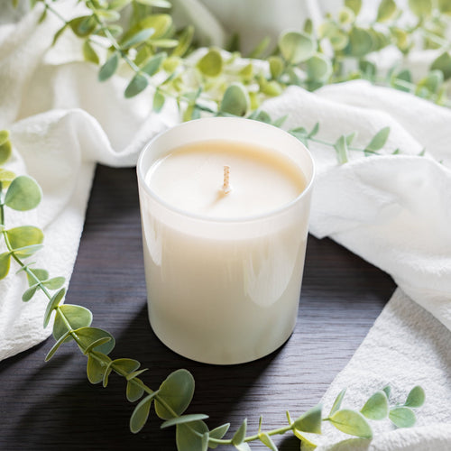 Snow Fairy Soy Wax Candle
